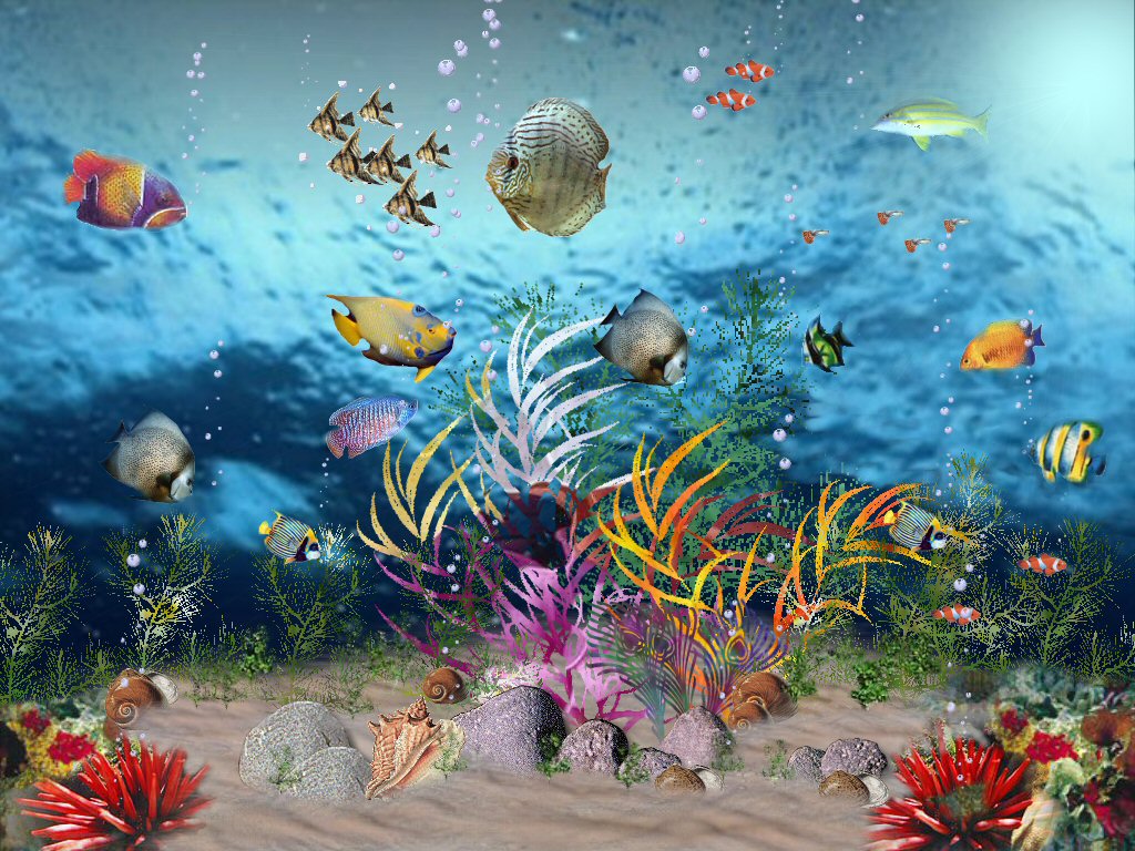 ÎáÝíÉ ÍæÖ Óãß