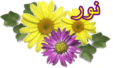 ÊÑÇÍíÈ æÆÇãíÉ