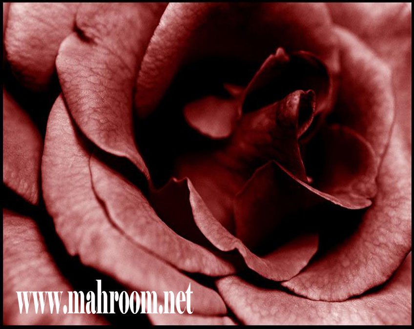 ãä æÑæÏ Ìäæäå ..